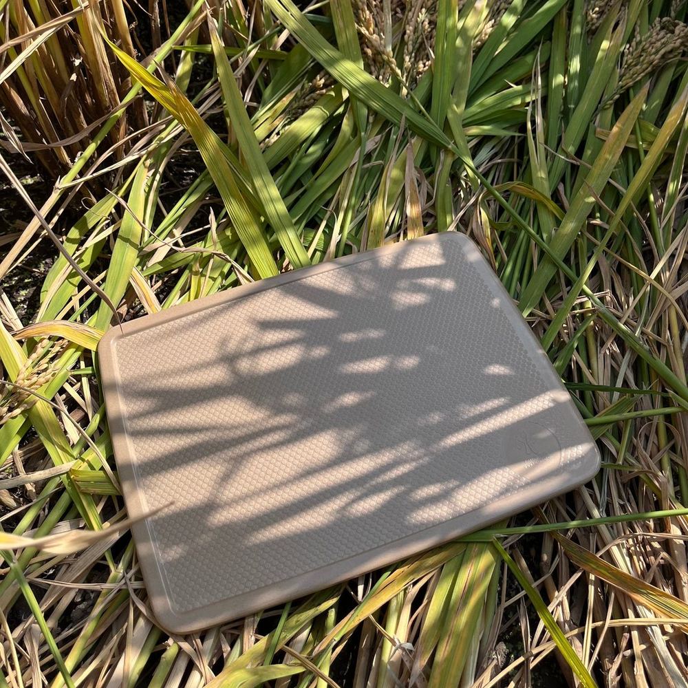 Natural beige rice husk chopping board lying in harvested rice straw — the original plant fiber color